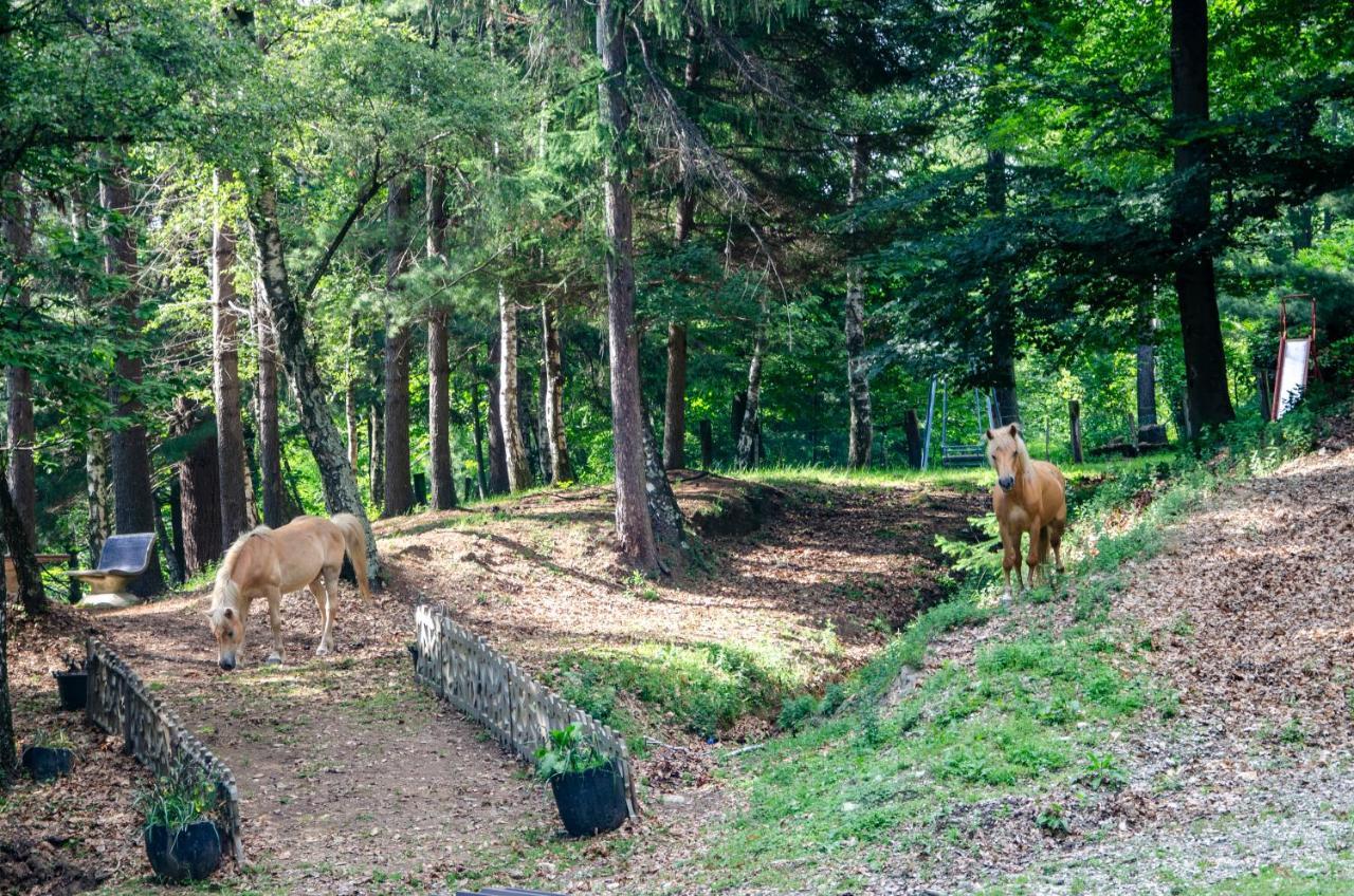 Bellosta Family Country Club Mb Alpe Moiana アルメーノ エクステリア 写真