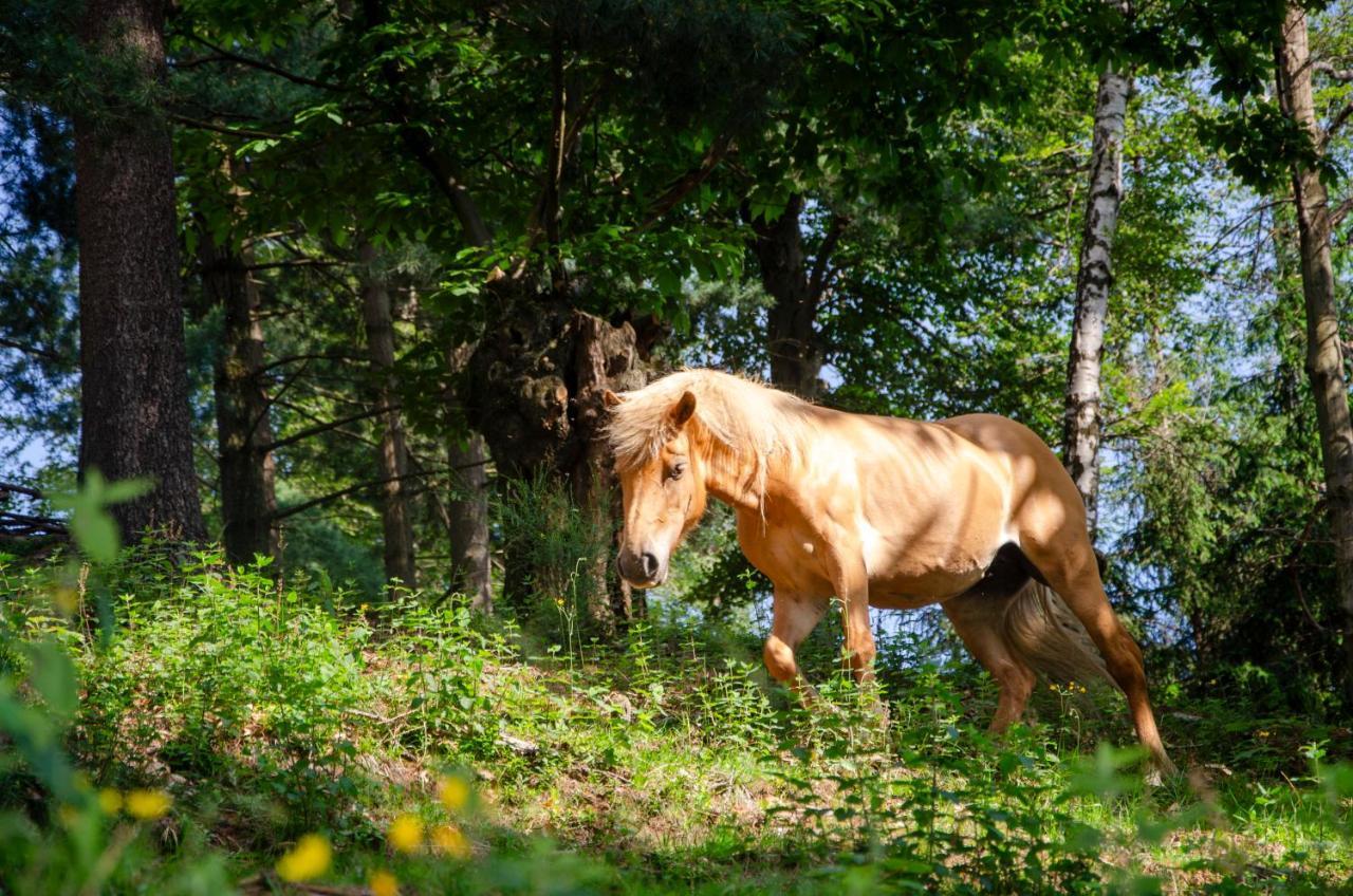 Bellosta Family Country Club Mb Alpe Moiana アルメーノ エクステリア 写真